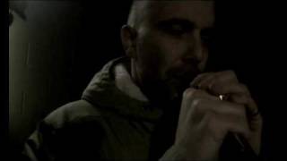 Super Furry Animals "Mountain"