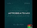 DJ Black Afro Beats Video Mix