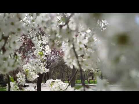 BRAILA, Faleza Dunarii (13 aprilie 2022)