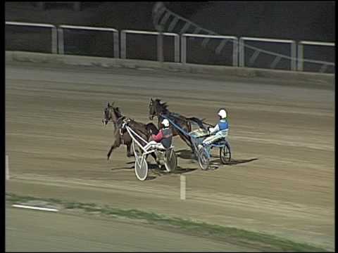 Trotto 16/12/2016 - 2ª prova di qualifica