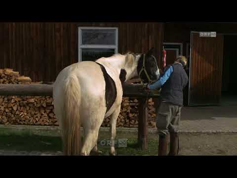 WKOÖ | Freizeitratgeber Wanderreiten