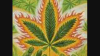 King Tubby Lambs Bread Herb