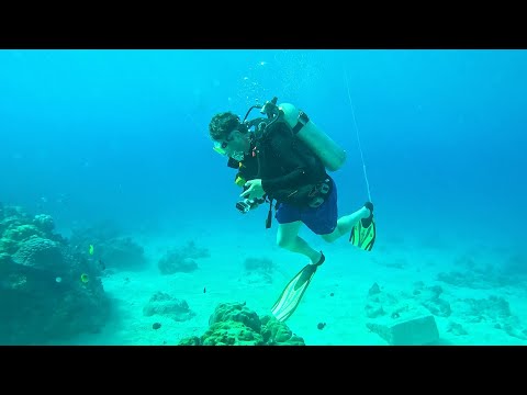 Destination Australia - Snorkelling Flying Fish Cove