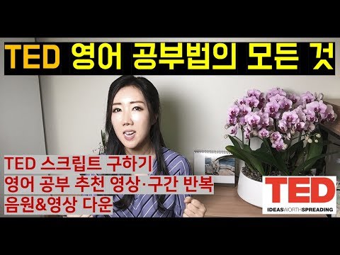 TED 영어 공부법의 모든 것 (추천 테드 강의 영상, 한/영자막 및 스크립트 구하기, 구간 반복 청취 등)
