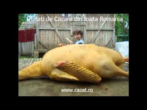 Cazare Rosiuta, Gorj - Cazat.ro