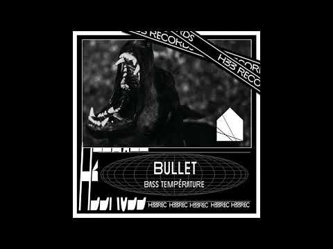 Bass Temp - I Buried You [H33 Records]