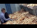 The Adventures Of Food Boy The Bread Bathroom Scene