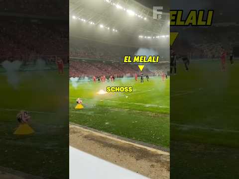 Stell dir mal den Druck vor ☠️🤯