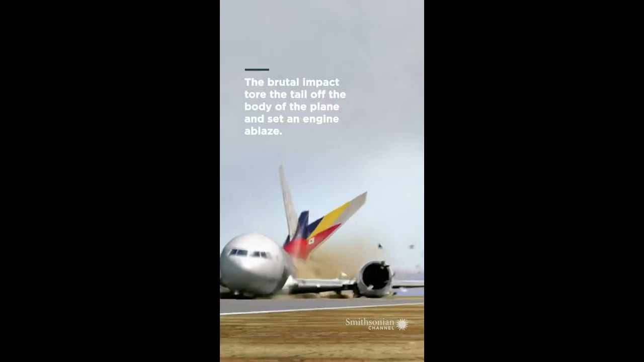 Asiana Airlines Lounge thumbnail