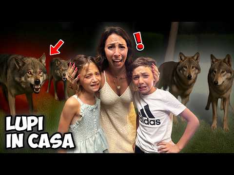 UN BRANCO DI LUPI FEROCI ENTRA IN CASA NOSTRA!!
