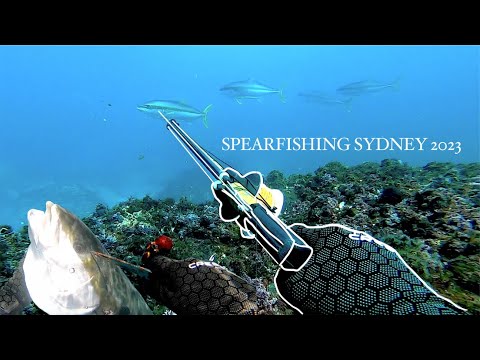 SPEARFISHING Sydney 2023 with Grayson Hinrichs