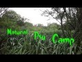 Natural Psy Camp 