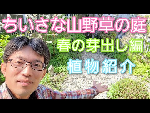 丈夫な草: 最高の種類 トピックス