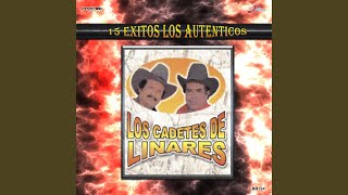 Pensé Que Fueras Tú