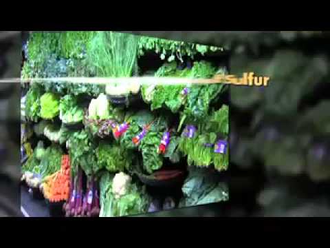 Health benefits of MSM - Sulfur