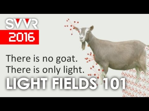 Light Field Theory Visualization