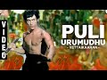 puli urumuthu song bruce lee version