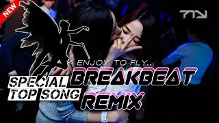 Download lagu BREAKBEAT REMIX | BREAKBEAT SPECIAL TOP SONG 2025 mp3