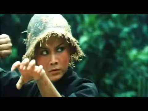 Les Sept Successeurs du Super Maître de Shaolin | 1980 (Action, Kung-Fu) Film Complet en français