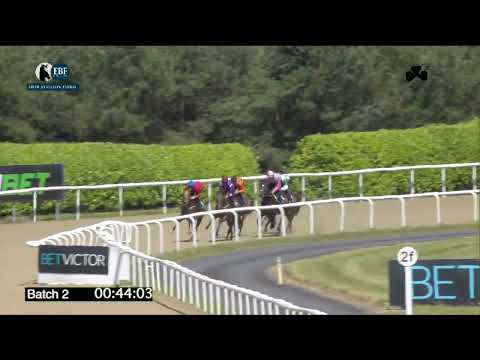 Irish EBF Barrier Trials 08 July 2024 - Batch 02