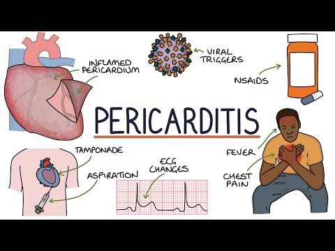 How does the heart work Fundamentals for medical students