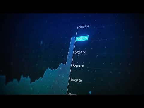 How does The Royal Q Robot Works?
