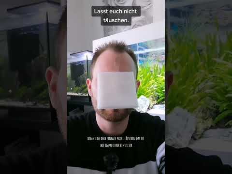 Lasst euch nicht täuschen.