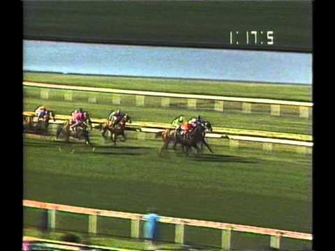 1987 VATC  J J Liston Stakes _ Military Plume