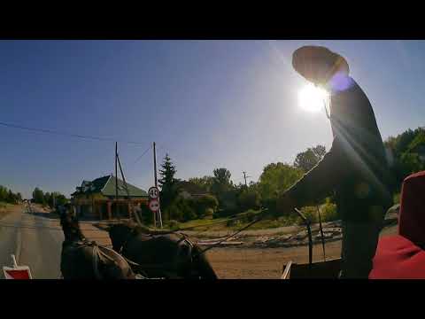 ZAPRZĘG KONNY REMONT DROGI