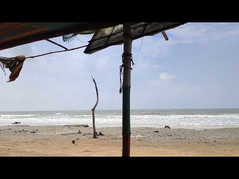 Tajpur Sea Beach 🏖️ Mallika Beach ⛱️