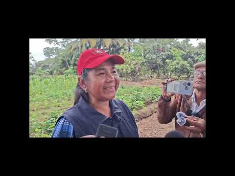 Universidad Agraria del Ecuador 🇪🇨  Dr. Patricio Álvarez PHd ( Rector de la U.A.E.)🌱👩🏻‍🌾 