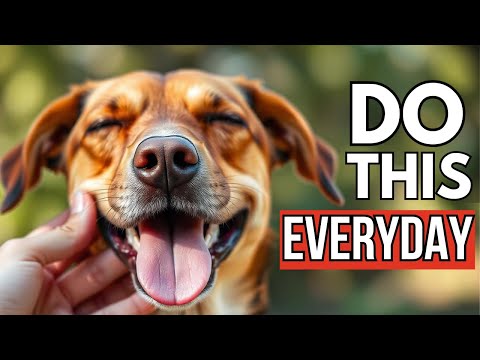 10 Secrets That Will TRANSFORM Your Dog's Life! (You Won't Believe #8)