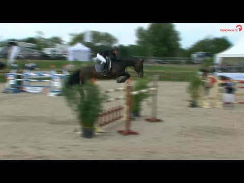 Turnierimpressionen - Adagio de Talma in Havekost