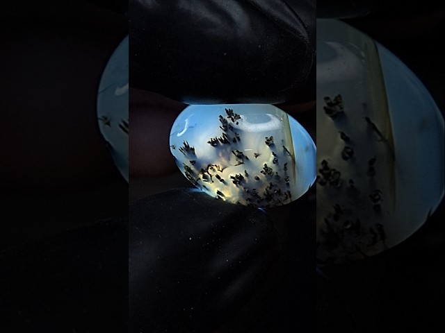 حجر عقيق شجري طبيعي