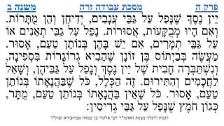 מסכת עבודה זרה פרק ה משנה ב