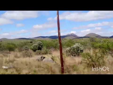 Taninga, Provincia de Córdoba, Argentina.#taninga