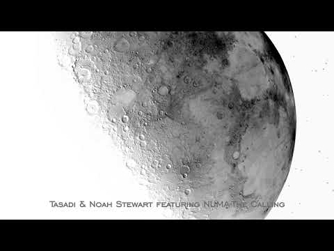 Tasadi & Noah Stewart featuring NUMA-The Calling