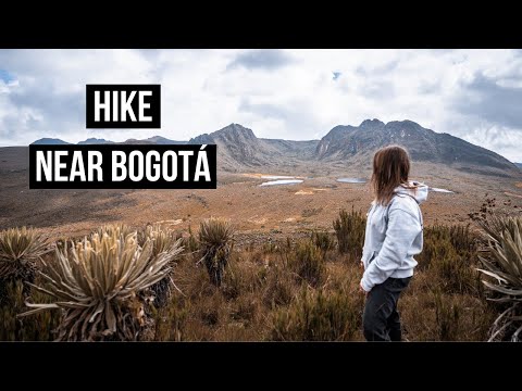 Sumapaz Páramo Bogotá: World's Largest Water Factory
