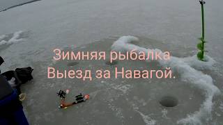 Зимняя рыбалка 2019 года в приморском крае