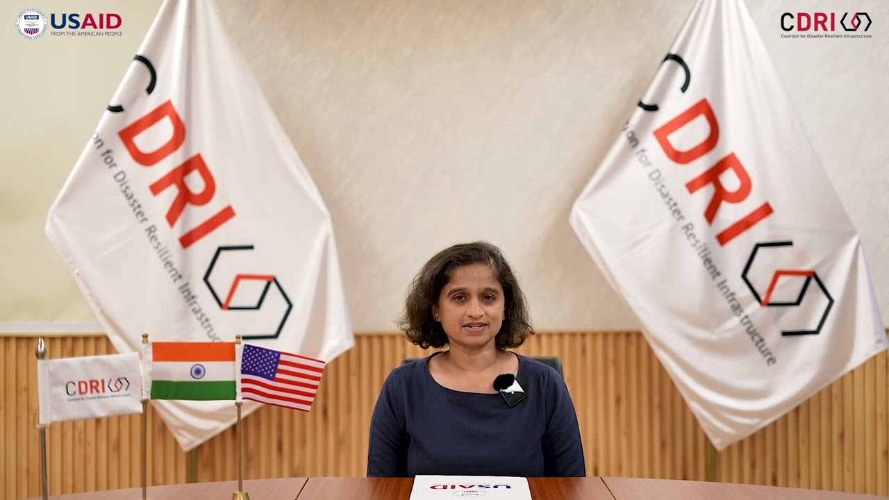 About the Coalition for Disaster Resilient Infrastructure (CDRI)