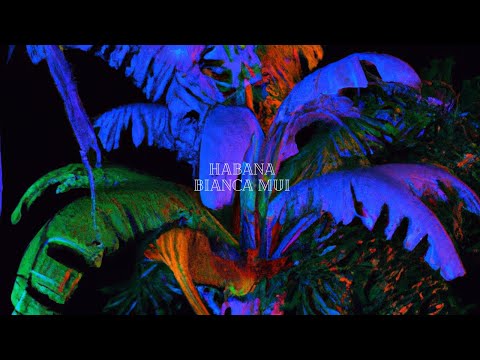 Bianca Mui - Habana (Lyric Video Oficial)