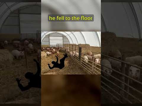 A man who hiccuped for 68 years?