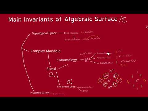 Algebraic Surface, Invariants (part 2) Hodge Numbers