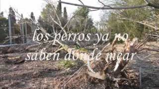 preview picture of video 'Maracena,Parque 28 de febrero.'