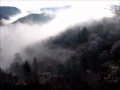 Dream Wander Thousand Year Fate By 千草仙