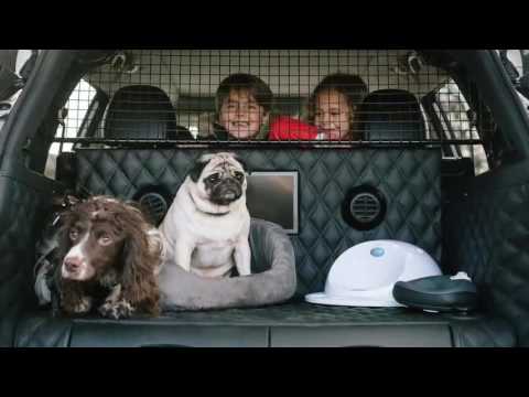 Nissan X-Trail 4Dogs Concept 2017
