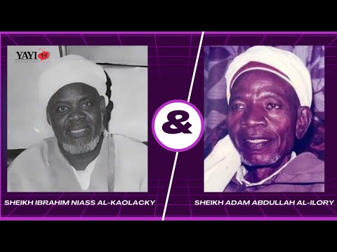 See what sheikh Adam said about sheikh Ibrahim Niass