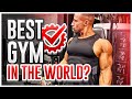 Is This The Best Gym In The World? | Abu Dhabi Road Trip