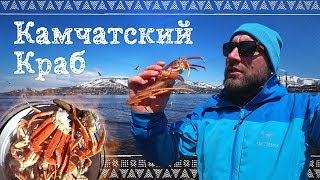 Крабы для рыбалки своими руками