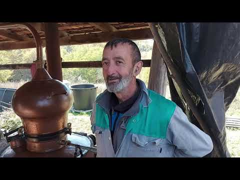 NA OVAKAV NAČIN PROIZVODI SE PRAVA  RAKIJA - POGLEDAJTE DO KRAJA I NAUČITE NEŠTO NOVO! ŠLJIVOVICA!!!